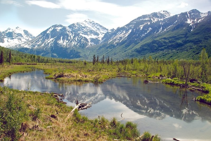 From a boardwalk along the Albert Loop in Chugach State Park.