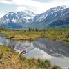 From a boardwalk along the Albert Loop in Chugach State Park.