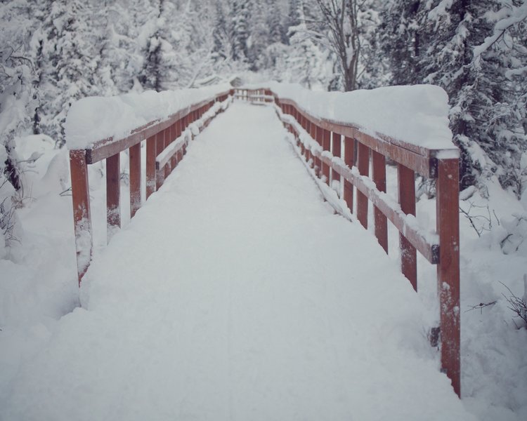 Wooden bridge crossing covered in fresh snow.