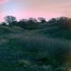 The park at dusk.