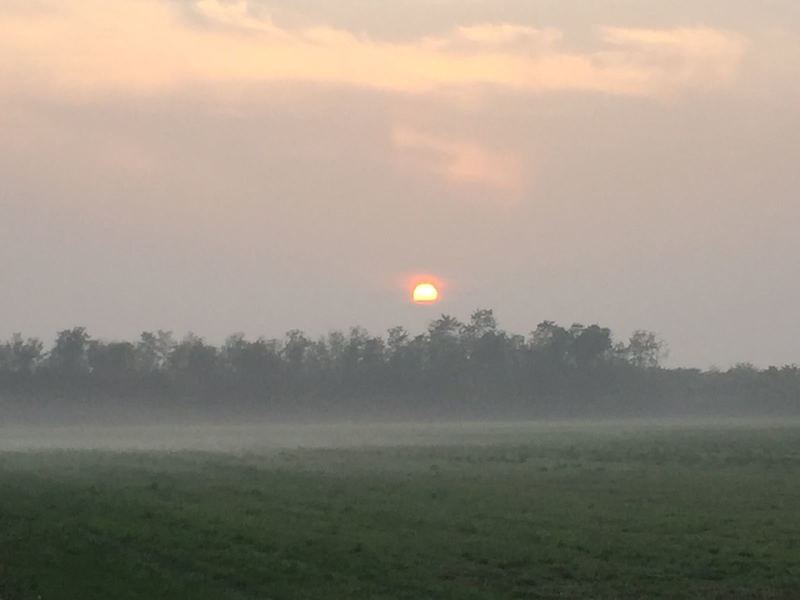 Sunrise in autumn / Alba in autunno.