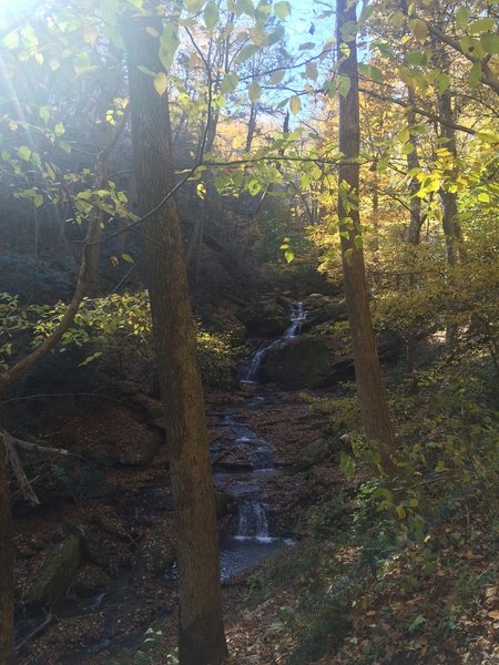 Waterfall around 1 mile of the trail!