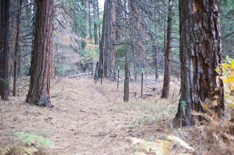 The trail skirts the park boundary as it departs from the entrance station.