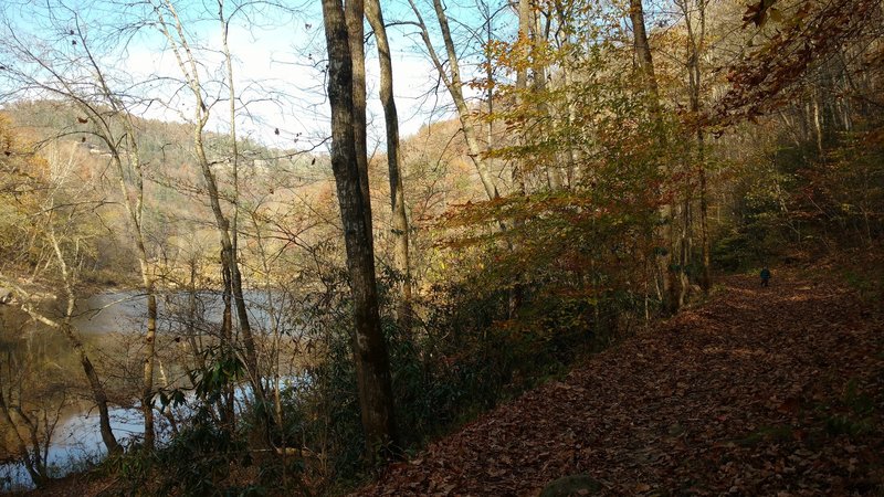 Heading back to the Leatherwood Trailhead parking lot along the Big South Fork river on the Angel Falls Trail.