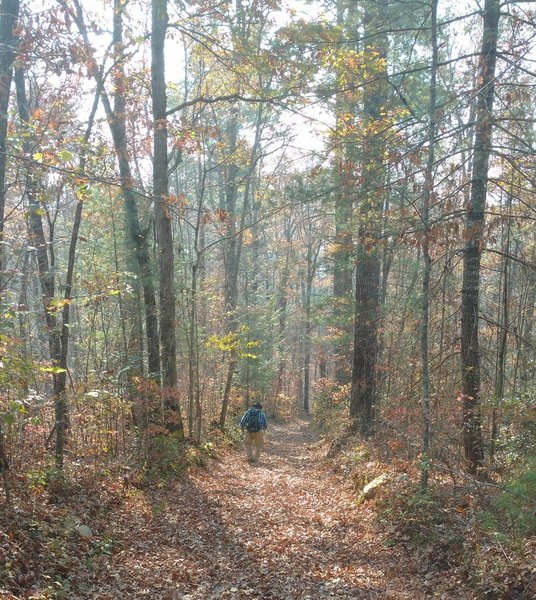 Starting the 277-foot descent from the parking lot to the river.