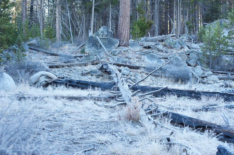 In the fall, frost covers the ground and trees.