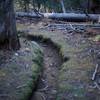 Parts of the trail are heavily eroded as it approaches Bridalveil Creek.