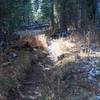The sunlight breaks through the canopy along the trail.