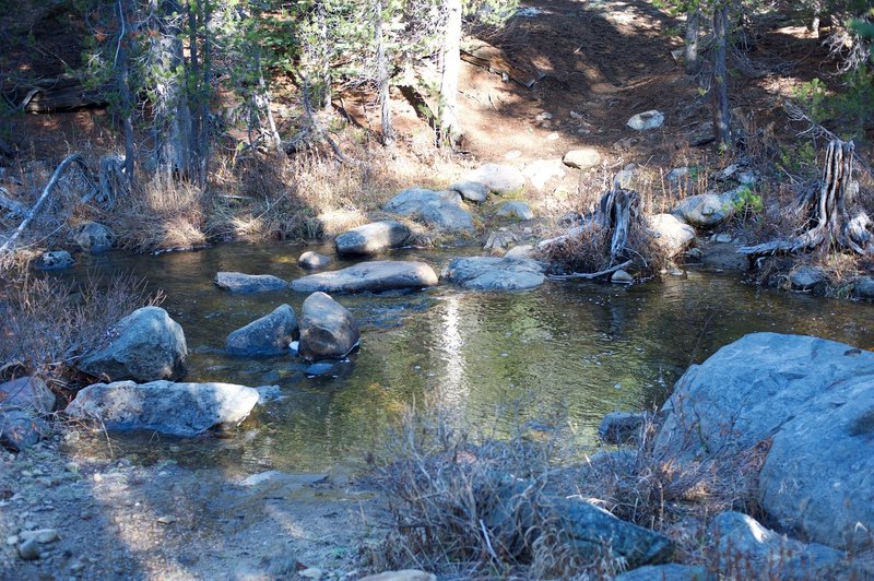 The crossing of Bridalveil Creek on the Ghost Forest Trail.