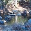 The crossing of Bridalveil Creek on the Ghost Forest Trail.