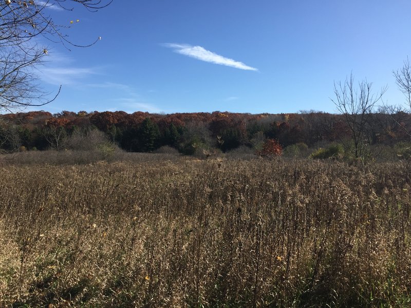 One of many beautiful views, prairie with glacial drumlins in the back grounds.