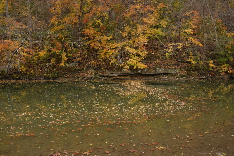 Fall at Buffalo Creek.