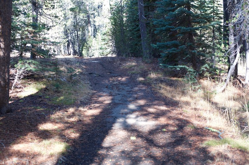 The trail is wide and gravelly as it departs the campground.