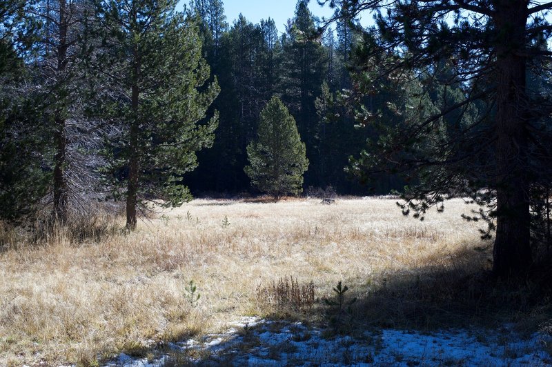 A meadow sits off to the left side of the trail where deer can be seen feeding in the early morning or evening.