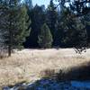 A meadow sits off to the left side of the trail where deer can be seen feeding in the early morning or evening.