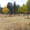 Early October on Staunton Ranch Trail.