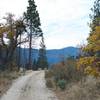 In the fall, the trees change color along the trail.