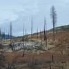 Evidence of the El Portal Fire in 2014 can be seen on the surrounding hills.