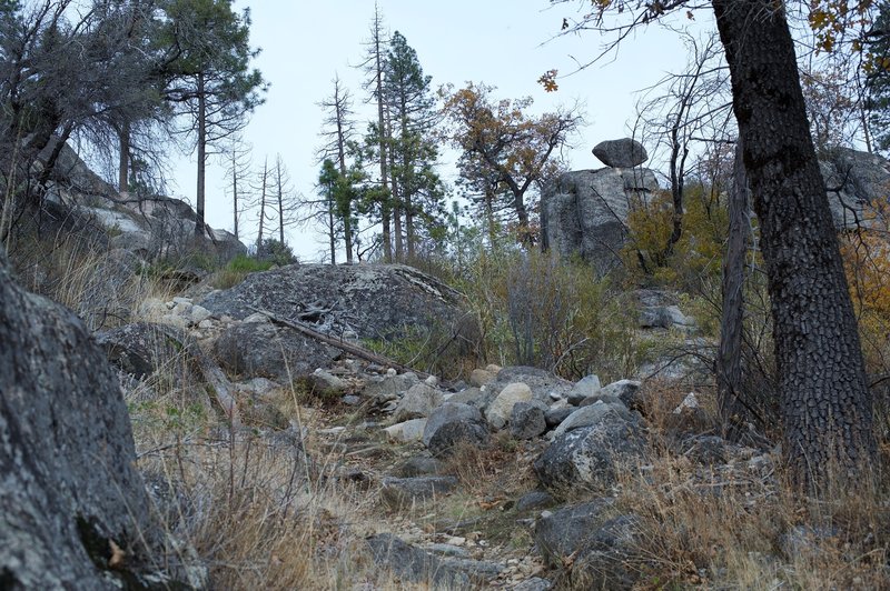 The trail climbs through a gully between two hills.