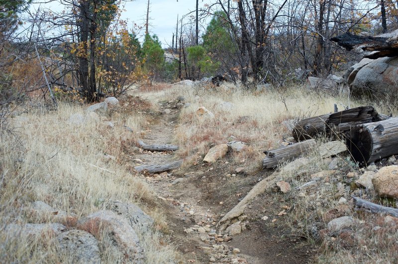 The trail climbs up the hill and is littered with wood and rocks. It is an easy climb to the top of the point.