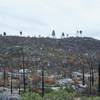 The surrounding hills above Lookout Point.