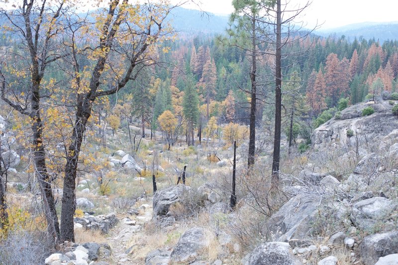 Looking down the gully that you have to climb. You can see the Hetch Hetchy Road from most points along the trail.