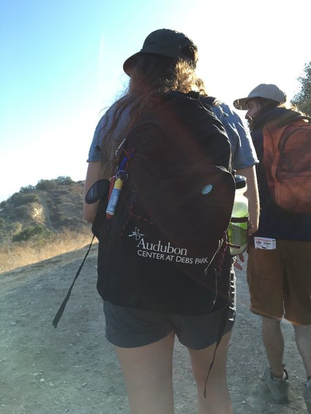 Heading up the Scrubjay Trail.