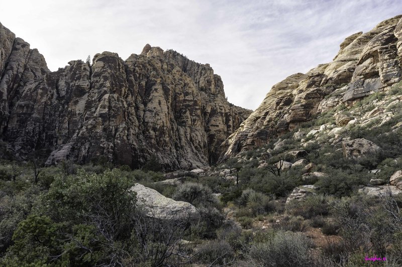 Ice Box Canyon Trail.