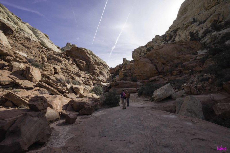 Looking up at the massive rocks surrounding the trail.