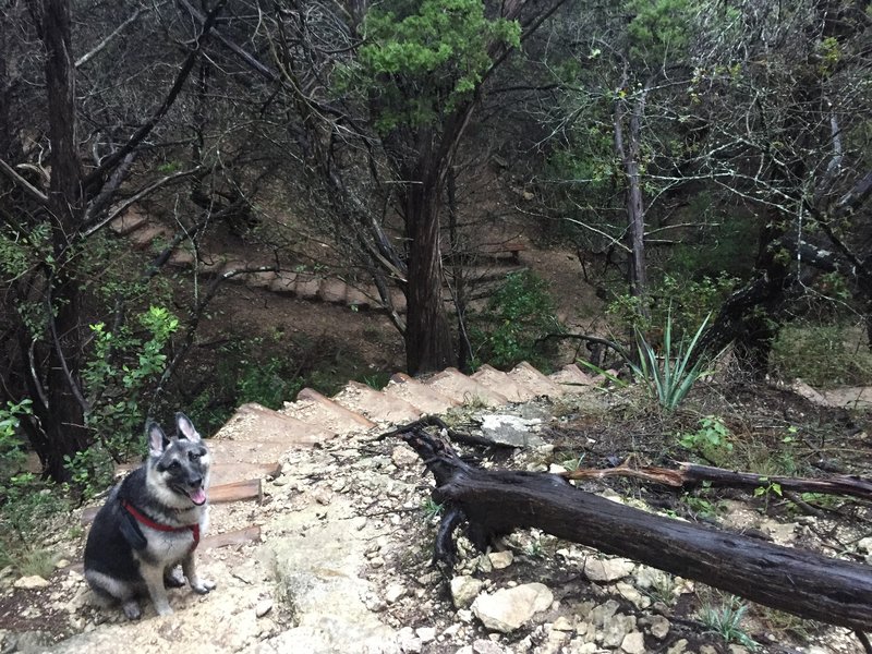 Nature's stair stepper. It does not disappoint!