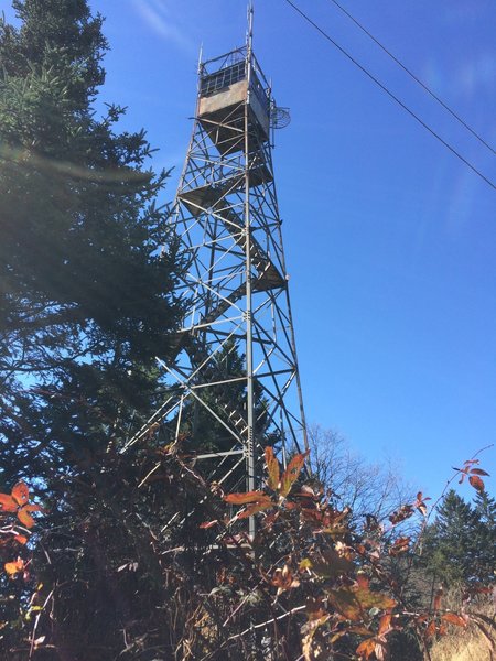 Mt. Sterling Tower.