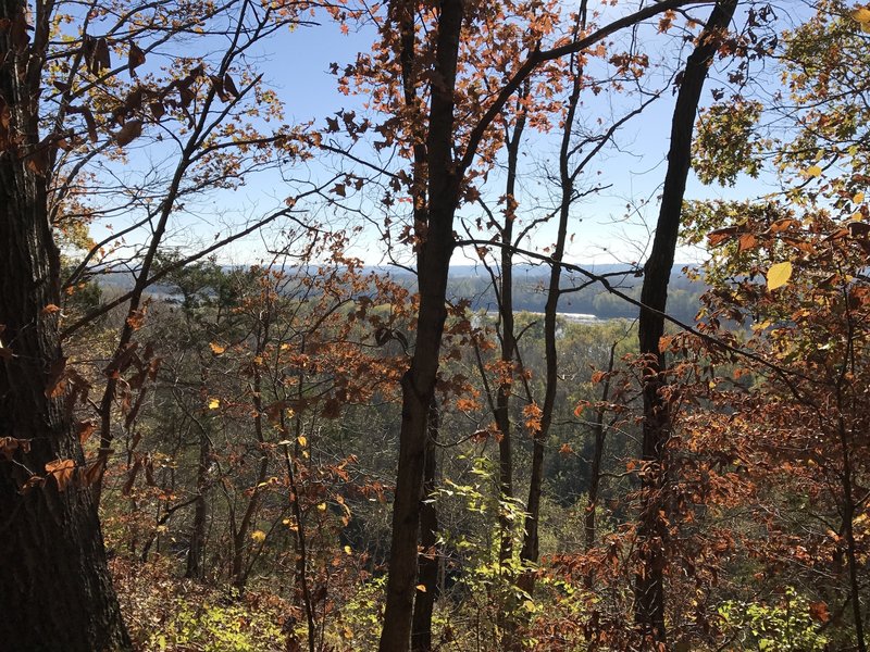 Fall leaves looking toward the river.