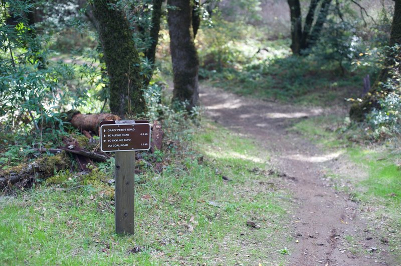 Coal Road Trail breaks off to the right and climbs back to the entrance. The grade is less steep than retracing your steps.