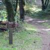 Coal Road Trail breaks off to the right and climbs back to the entrance. The grade is less steep than retracing your steps.