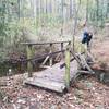 One of the trail's numerous creek crossings.