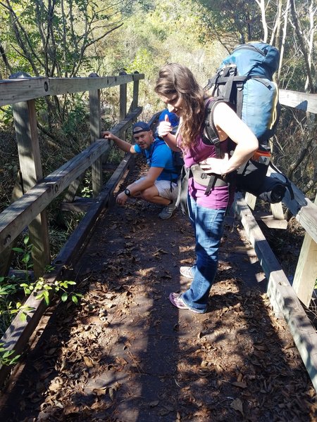 Inspecting one of the numerous paths cleared by carpenter ants as they carry leaves back to their house.