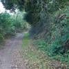 While the trail is wide as it follows the old road, you can see the area that is most popular with cyclists.