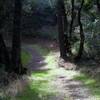 Coal Road Trail as it departs from the Crazy Pete's Road Trail.