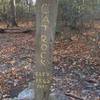 Signpost marking Cat Rock.