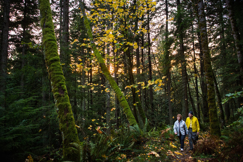 Sunset along the Main Loop Trail at the Stimpson Family Nature Reserve.