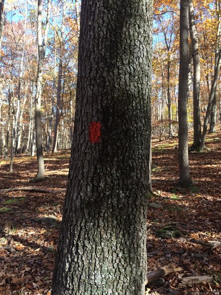 Red blazes of this section of trail.