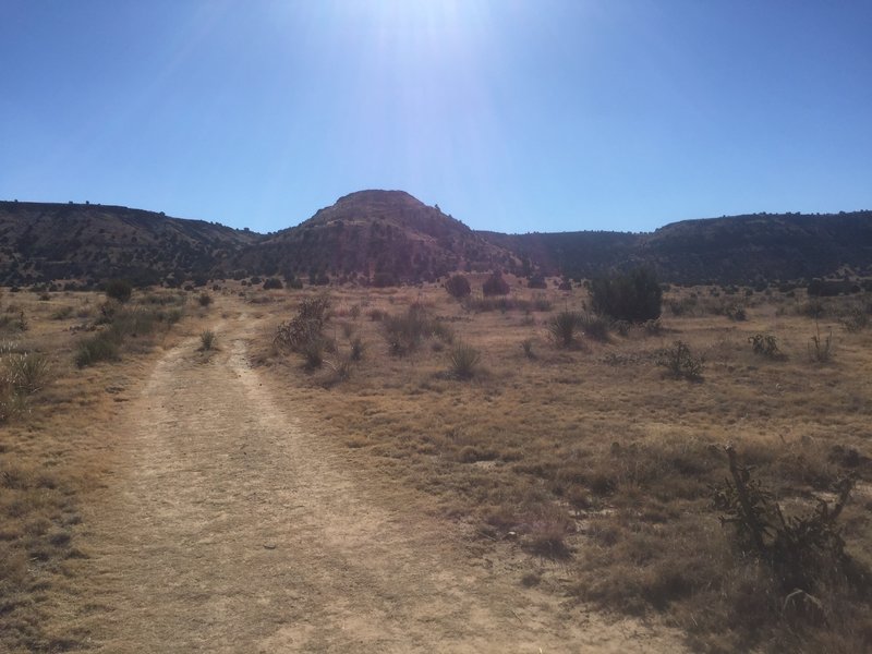 Doubletrack trail.