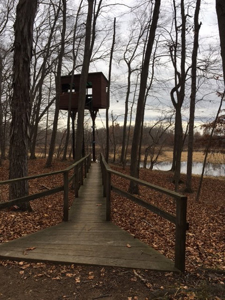 Observation tower.