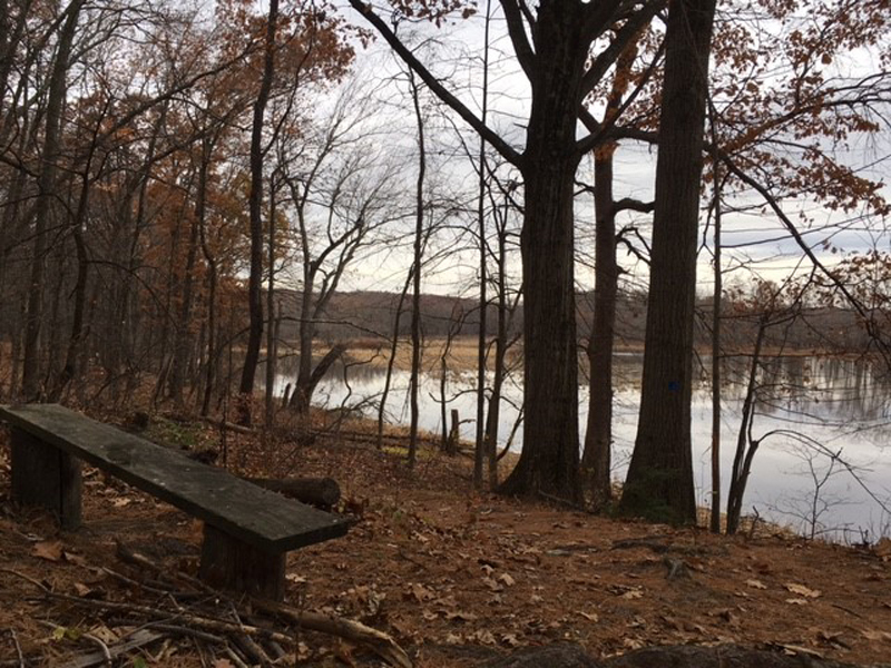 Bench overlooking Mill River and marsh.