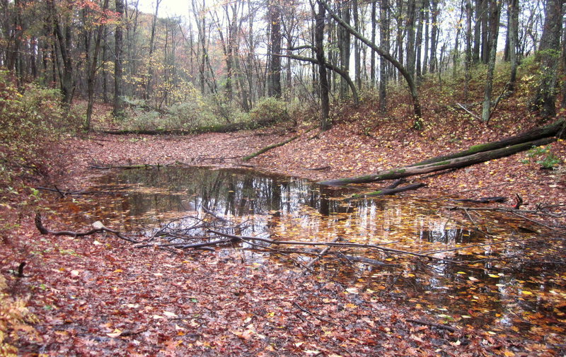 Big Pool.