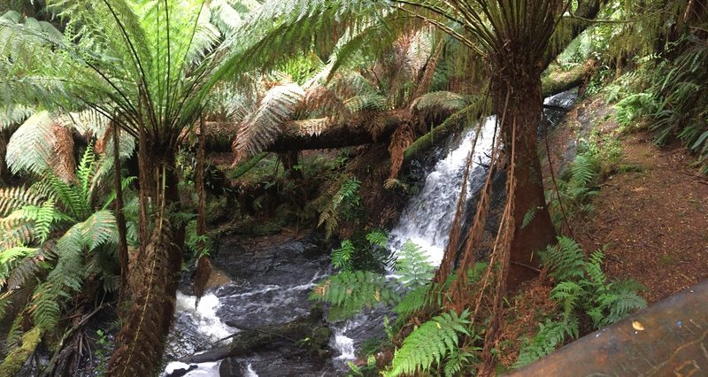 Anne's Cascade from the track.