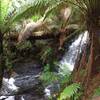 Anne's Cascade from the track.