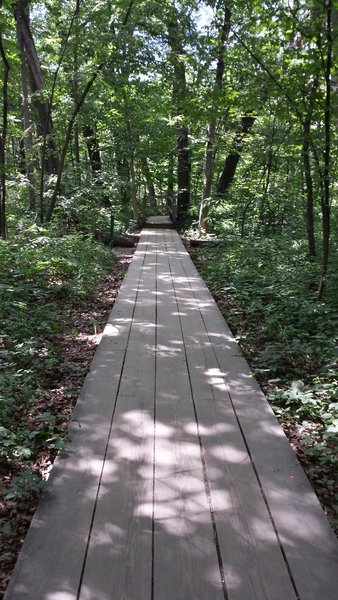 Connecting Trail - French Canyon boardwalk.