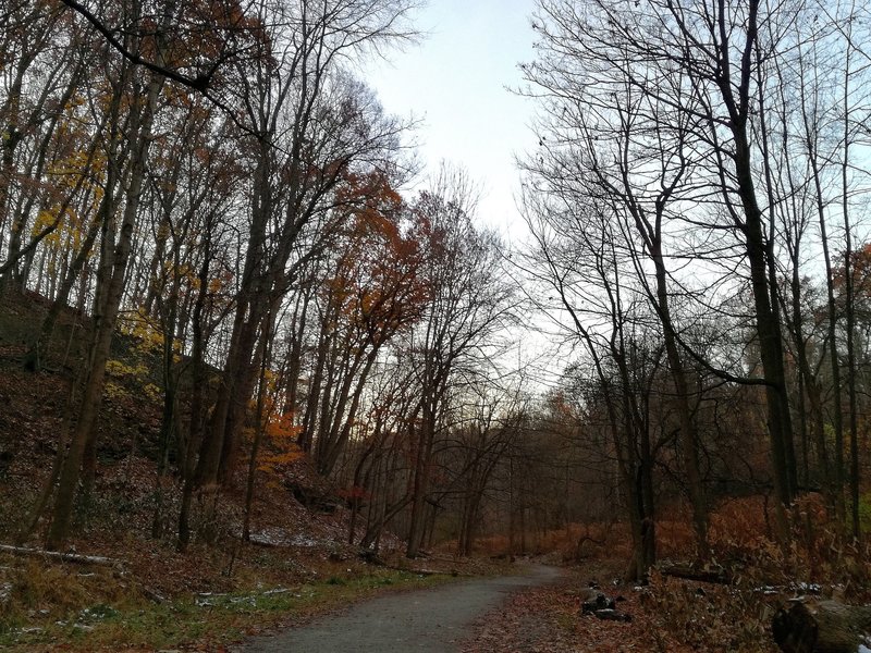 Remaining snow and colored leaves.