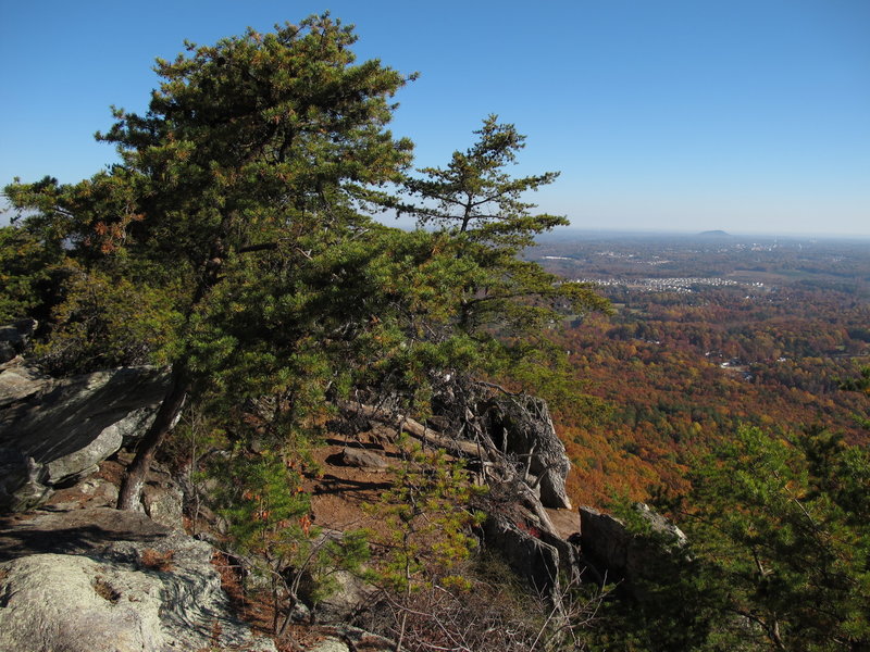 Views are lovely, even from the lower reaches of Crowder Mountain!